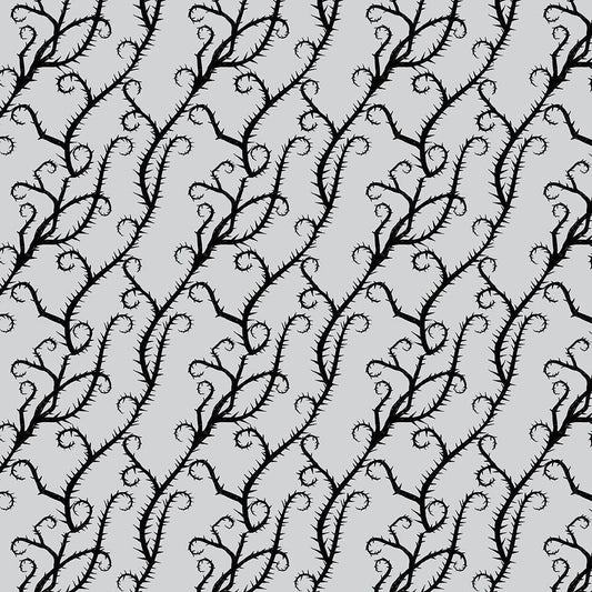 Image Only