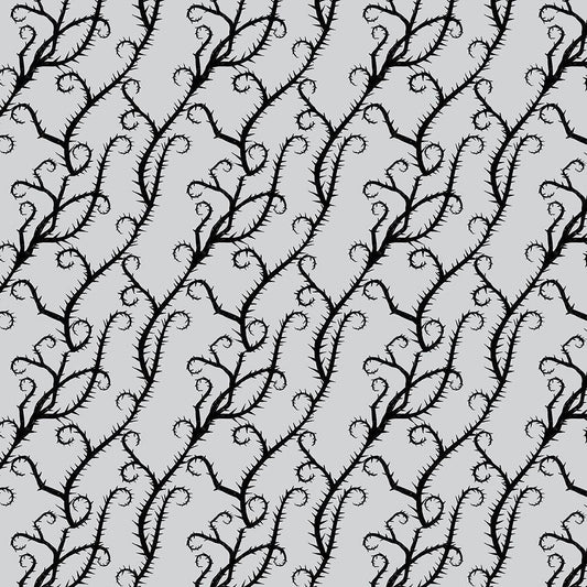 Image Only