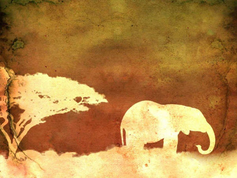 Safari Sunrise I White Modern Wood Framed Art Print with Double Matting by Ilosky, Pam