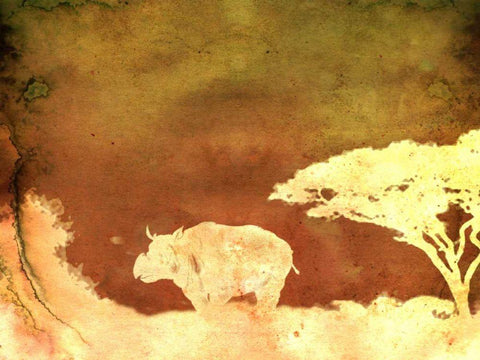 Safari Sunrise II White Modern Wood Framed Art Print with Double Matting by Ilosky, Pam