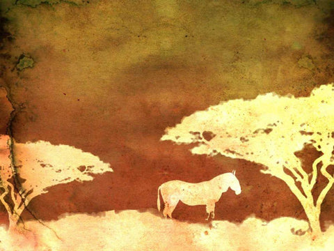 Safari Sunrise III White Modern Wood Framed Art Print with Double Matting by Ilosky, Pam