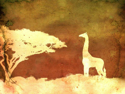 Safari Sunrise IV White Modern Wood Framed Art Print with Double Matting by Ilosky, Pam