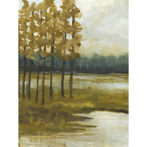 Etoile I White Modern Wood Framed Art Print by McMullen, Charles