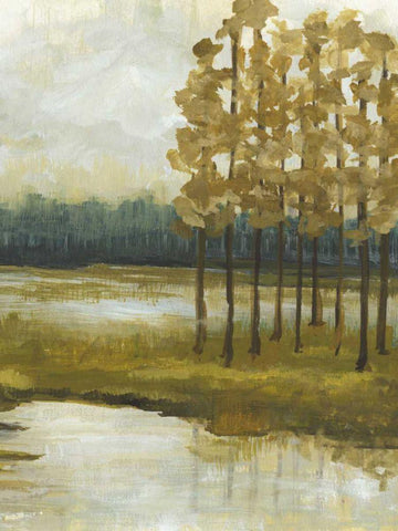 Etoile II White Modern Wood Framed Art Print with Double Matting by McMullen, Charles