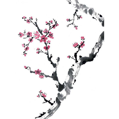 Plum Blossom Branch II Black Modern Wood Framed Art Print with Double Matting by Parker, Nan Rae