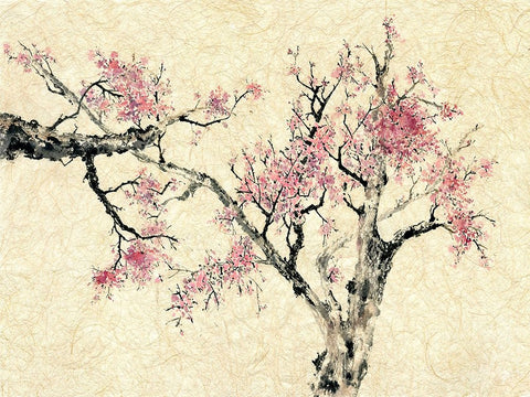 Springtime White Modern Wood Framed Art Print with Double Matting by Rae, Nan