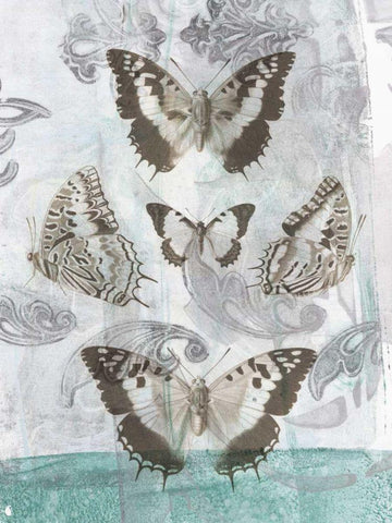 Butterflies and Filigree II White Modern Wood Framed Art Print with Double Matting by Goldberger, Jennifer