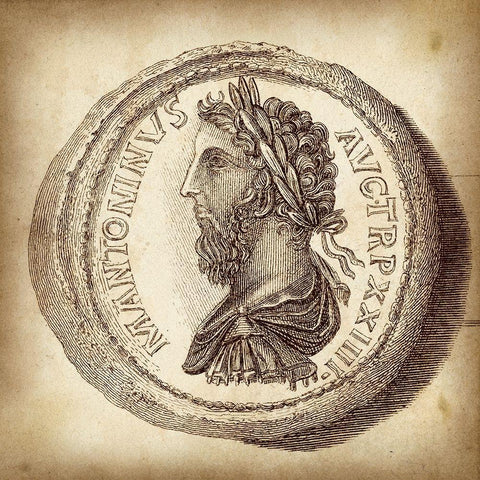 Cus. Antique Roman Coins VI C - LIB Black Ornate Wood Framed Art Print with Double Matting by Unknown