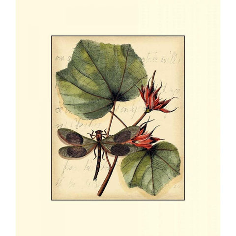 Petite Dragonflies I Gold Ornate Wood Framed Art Print with Double Matting by Vision Studio