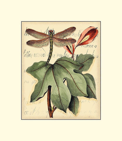 Petite Dragonflies II White Modern Wood Framed Art Print with Double Matting by Vision Studio