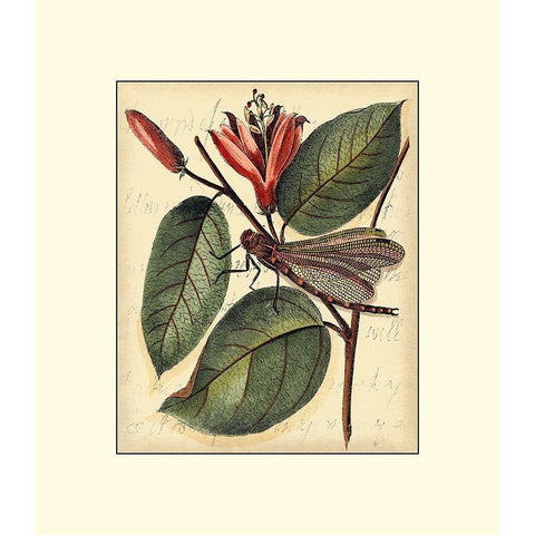 Petite Dragonflies V Gold Ornate Wood Framed Art Print with Double Matting by Vision Studio