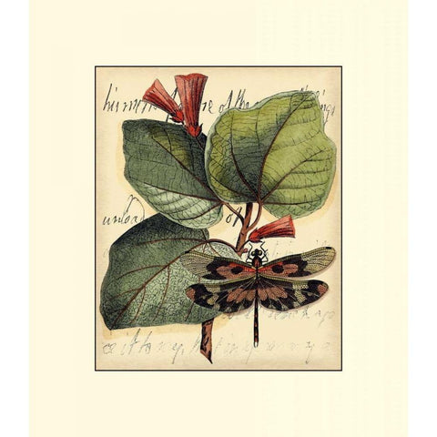 Petite Dragonflies VI White Modern Wood Framed Art Print by Vision Studio