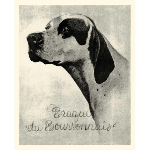 B and W Brague du Bourbonnais White Modern Wood Framed Art Print by Vision Studio