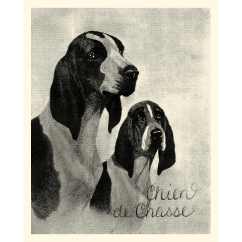B and W Chien de Chasse White Modern Wood Framed Art Print by Vision Studio
