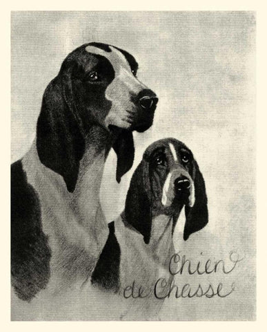 B and W Chien de Chasse Black Ornate Wood Framed Art Print with Double Matting by Vision Studio