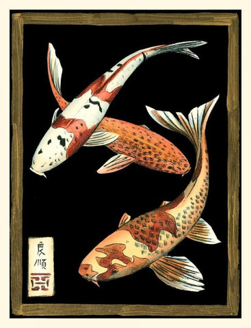 Koi Fish on Black I White Modern Wood Framed Art Print with Double Matting by Zarris, Chariklia