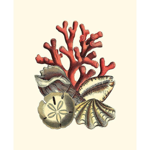 Coral Medley II White Modern Wood Framed Art Print by Vision Studio