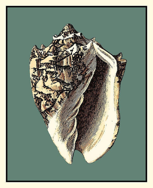 Image Only