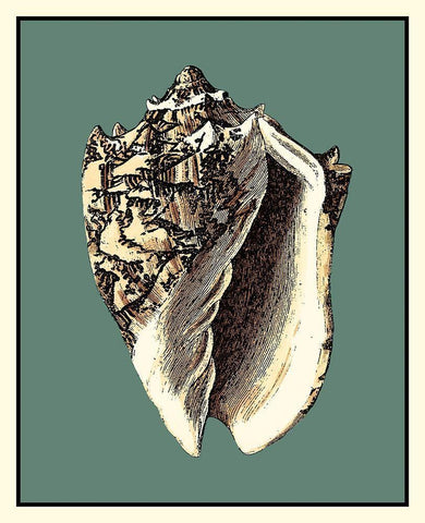 Oceans Treasure I Black Ornate Wood Framed Art Print with Double Matting by Vision Studio