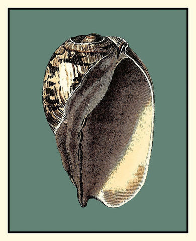 Oceans Treasure II Black Ornate Wood Framed Art Print with Double Matting by Vision Studio