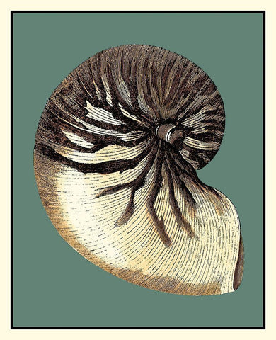 Oceans Treasure III White Modern Wood Framed Art Print with Double Matting by Vision Studio