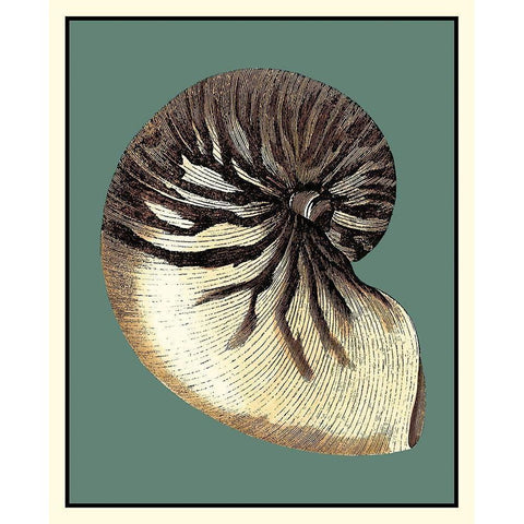 Oceans Treasure III White Modern Wood Framed Art Print by Vision Studio