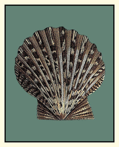 Oceans Treasure IV White Modern Wood Framed Art Print with Double Matting by Vision Studio