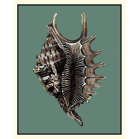 Oceans Treasure V Black Modern Wood Framed Art Print with Double Matting by Vision Studio