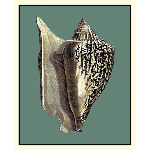 Oceans Treasure VI White Modern Wood Framed Art Print by Vision Studio