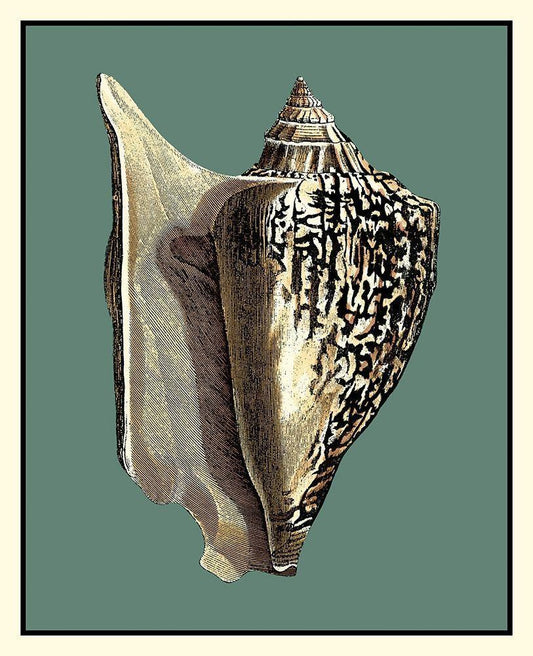 Image Only