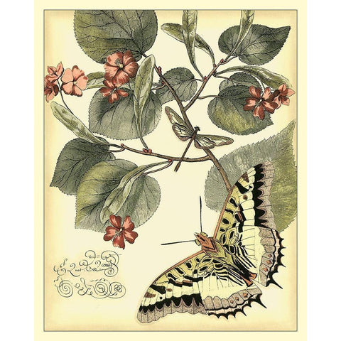 Whimsical Butterflies I White Modern Wood Framed Art Print by Vision Studio