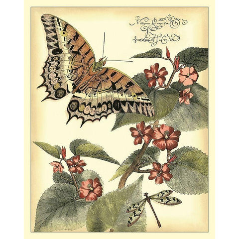 Whimsical Butterflies II White Modern Wood Framed Art Print by Vision Studio