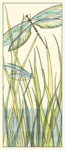 Gossamer Dragonflies I White Modern Wood Framed Art Print with Double Matting by Zarris, Chariklia
