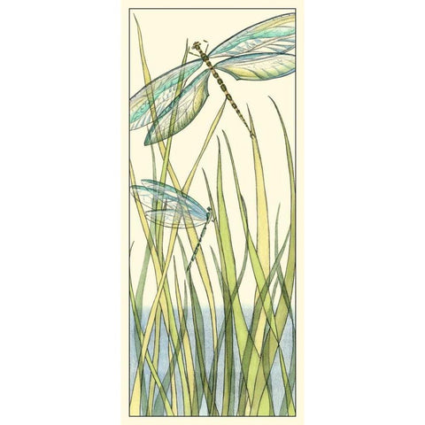 Gossamer Dragonflies I Black Modern Wood Framed Art Print with Double Matting by Zarris, Chariklia