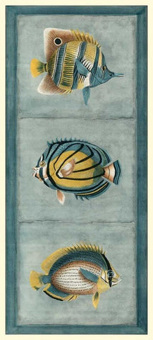 Tropical Fish Trio I Black Ornate Wood Framed Art Print with Double Matting by Vision Studio