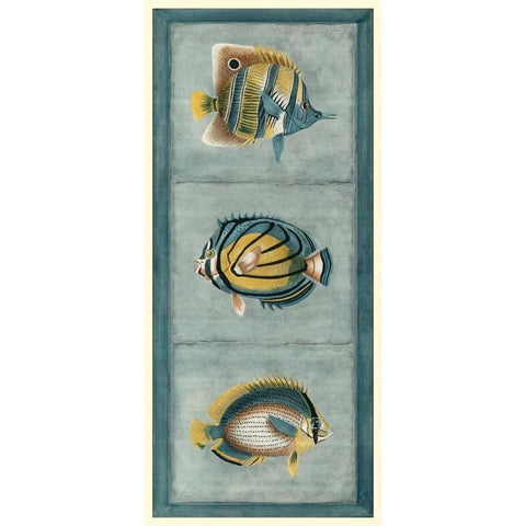 Tropical Fish Trio I White Modern Wood Framed Art Print by Vision Studio