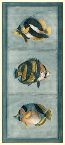 Tropical Fish Trio II White Modern Wood Framed Art Print with Double Matting by Vision Studio