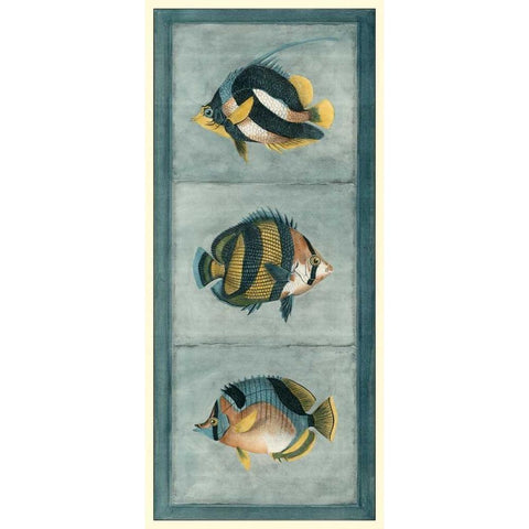 Tropical Fish Trio II Black Modern Wood Framed Art Print by Vision Studio
