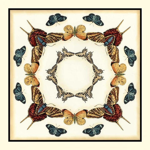 Butterfly Collector I Black Ornate Wood Framed Art Print with Double Matting by Zarris, Chariklia