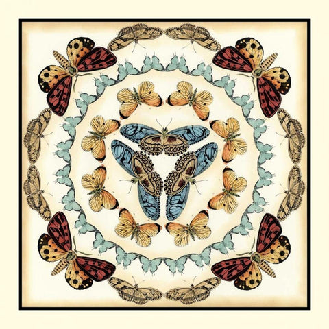 Butterfly Collector IV Black Ornate Wood Framed Art Print with Double Matting by Zarris, Chariklia