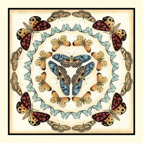 Butterfly Collector IV White Modern Wood Framed Art Print with Double Matting by Zarris, Chariklia