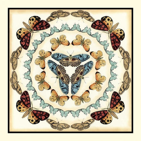 Butterfly Collector IV Black Modern Wood Framed Art Print with Double Matting by Zarris, Chariklia