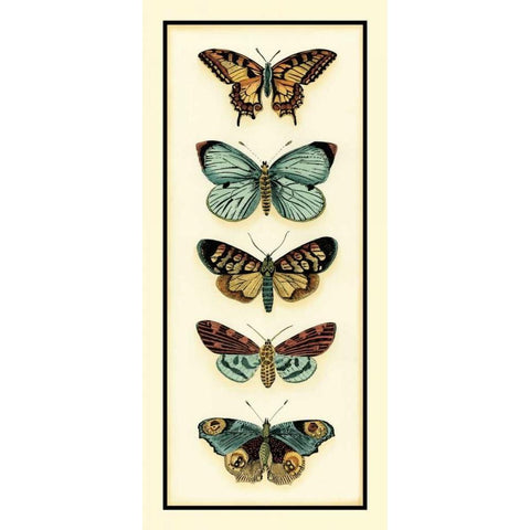 Butterfly Collector VI Gold Ornate Wood Framed Art Print with Double Matting by Zarris, Chariklia