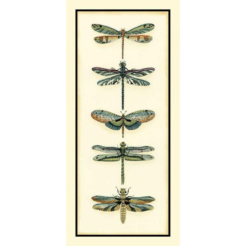 Dragonfly Collector II White Modern Wood Framed Art Print by Zarris, Chariklia