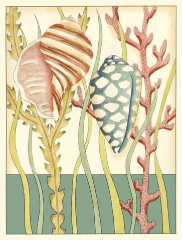 Shell Season II White Modern Wood Framed Art Print with Double Matting by Zarris, Chariklia