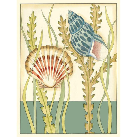 Shell Season IV White Modern Wood Framed Art Print by Zarris, Chariklia