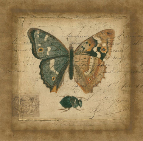 Postscript Butterfly I White Modern Wood Framed Art Print with Double Matting by Vision Studio