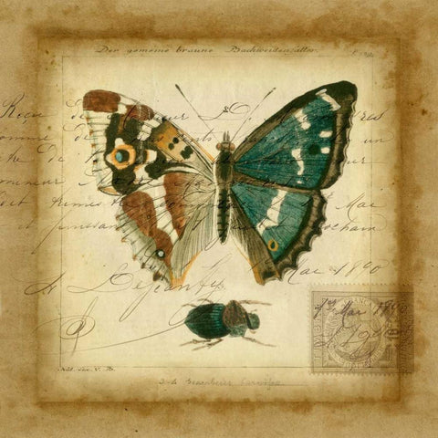 Postscript Butterfly II White Modern Wood Framed Art Print with Double Matting by Vision Studio