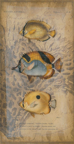 Ocean Trilogy II Black Modern Wood Framed Art Print by Vision Studio