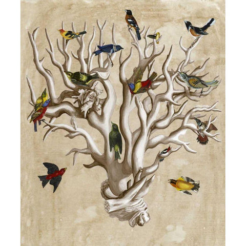 The Ornithologists Dream I White Modern Wood Framed Art Print by McCavitt, Naomi